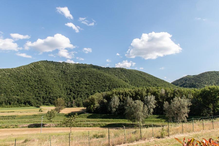 Il Colombaio Agriturismo Montegabbione Luaran gambar