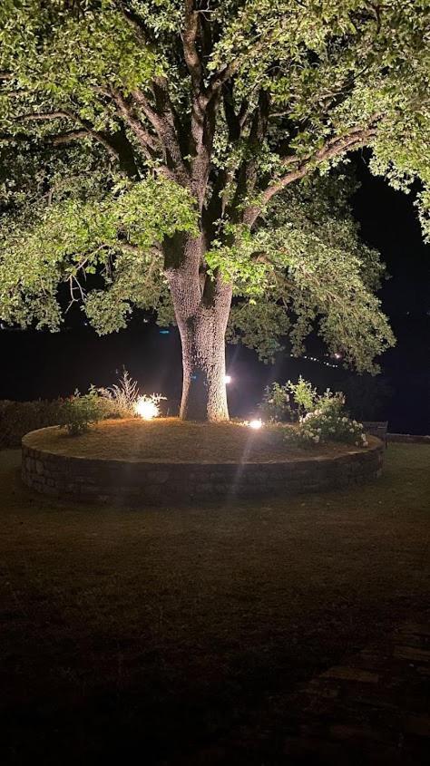 Il Colombaio Agriturismo Montegabbione Luaran gambar