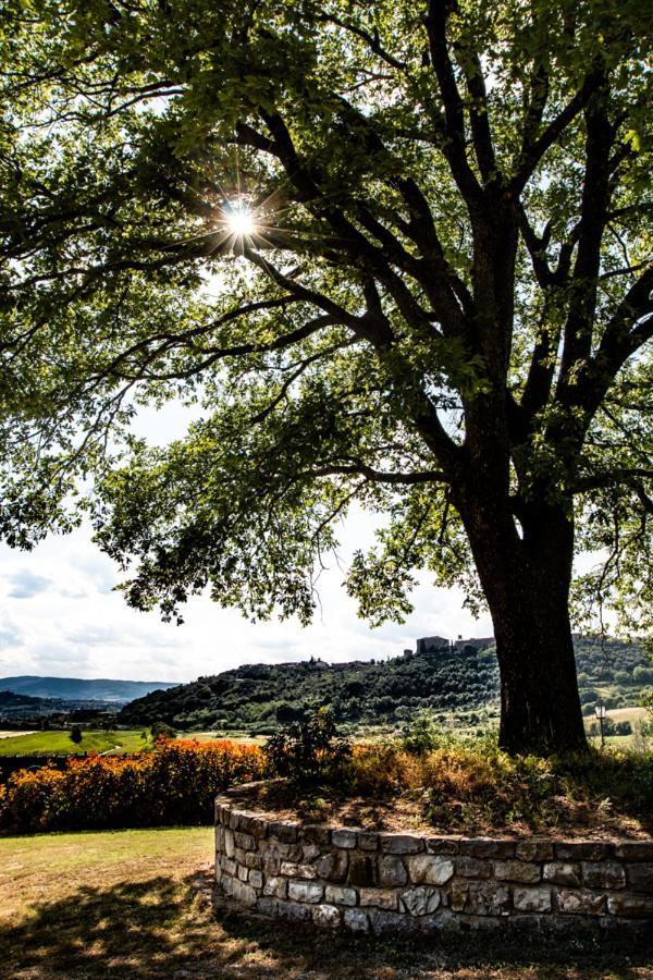 Il Colombaio Agriturismo Montegabbione Luaran gambar